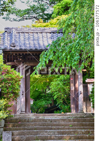 鎌倉 安国論寺（神奈川県鎌倉市材木座) 106377572
