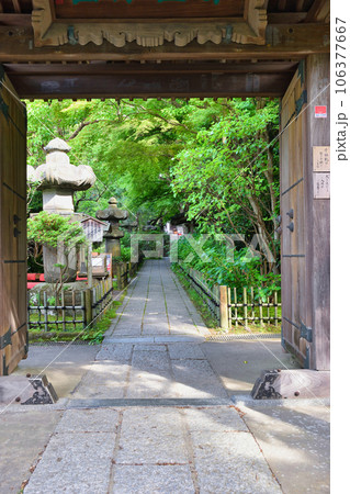 鎌倉 安国論寺（神奈川県鎌倉市材木座) 106377667