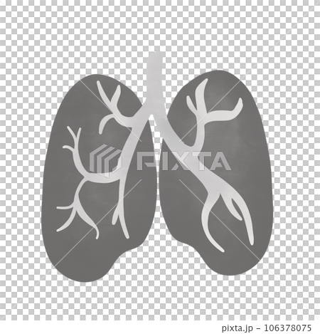 Burning black smoke from cigarettes and forest burning should wear a protective mask. 106378075