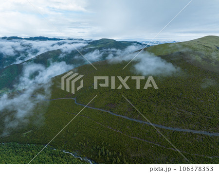 Beautiful sunrise forest landscape in Sichuan, China 106378353