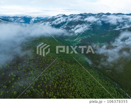 Beautiful sunrise forest landscape in Sichuan, China 106378355