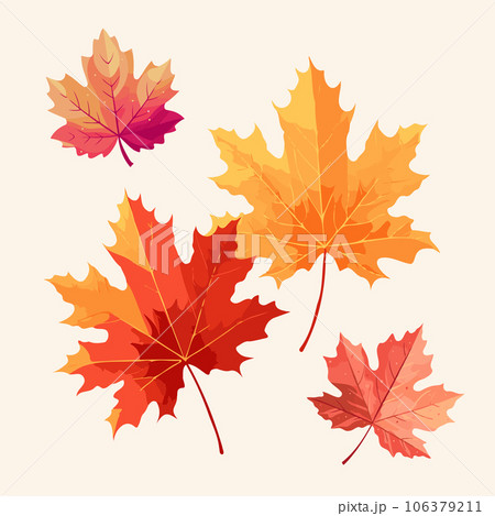 楓 カエデ メープル 106379211