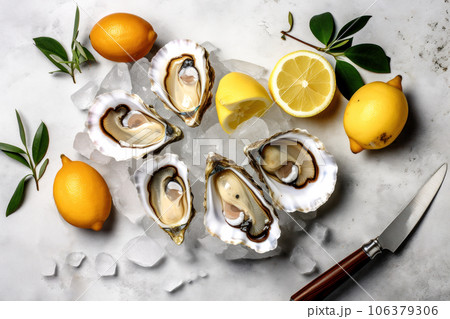 Still life with fresh delicious oysters Still life with fresh delicious oysters 106379306