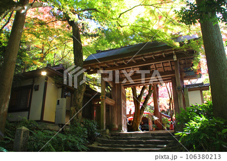 紅葉の名所有馬温泉の瑞宝寺公園 106380213