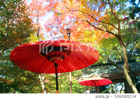 紅葉の名所有馬温泉の瑞宝寺公園 106380214