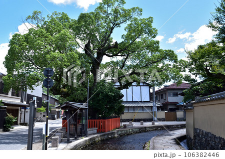 京都上賀茂社家町・藤木社と明神川の流れ 京都上賀茂社家町・藤木社と明神川の流れ 106382446