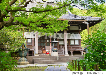 鎌倉 安国論寺(神奈川県鎌倉市材木座) 鎌倉 安国論寺(神奈川県鎌倉市材木座) 106382897