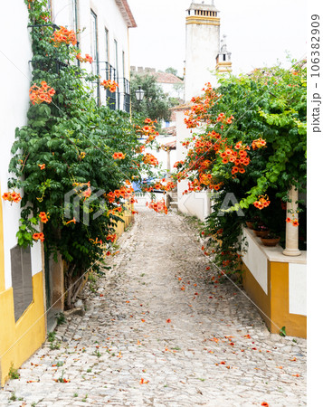 Traditional white stone houses with tiled roofs and various flowering bushes decorate walls to the houses Traditional white stone houses with tiled roofs and various flowering bushes decorate walls to the houses 106382909
