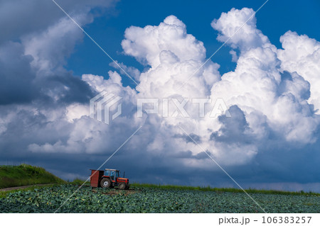 《群馬県》夏空の田園風景・嬬恋のキャベツ畑 106383257