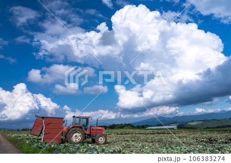 《群馬県》夏空の田園風景・嬬恋のキャベツ畑 106383274