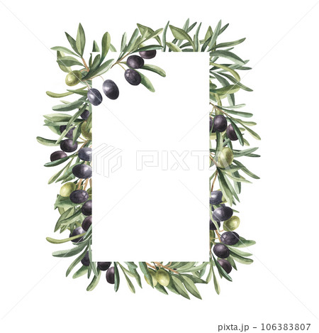 Botanical Watercolor Floral Rectangle Frame with Olive branches, Olive Berries and Branches Frame, Hand painted Exotic illustration on white background, Split border. Botanical Watercolor Floral Rectangle Frame with Olive branches, Olive Berries and Branches Frame, Hand painted Exotic illustration on white background, Split border. 106383807