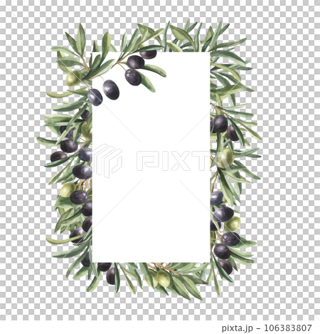 Botanical Watercolor Floral Rectangle Frame with Olive branches, Olive Berries and Branches Frame, Hand painted Exotic illustration on white background, Split border. Botanical Watercolor Floral Rectangle Frame with Olive branches, Olive Berries and Branches Frame, Hand painted Exotic illustration on white background, Split border. 106383807