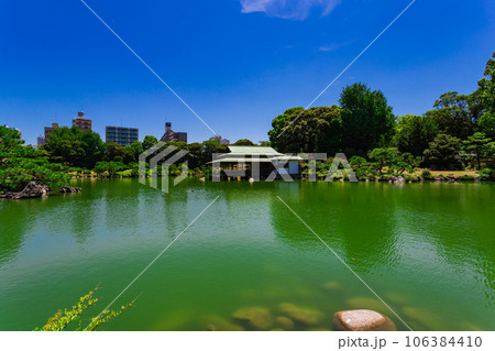 清澄庭園 2023年(夏) の風景 13 清澄庭園 2023年(夏) の風景 13 106384410