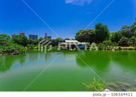 清澄庭園 2023年(夏) の風景 12 清澄庭園 2023年(夏) の風景 12 106384411