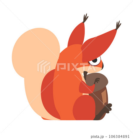 Cute Squirrel with Bushy Tail Sitting with Acorn Vector Illustration Cute Squirrel with Bushy Tail Sitting with Acorn Vector Illustration 106384891