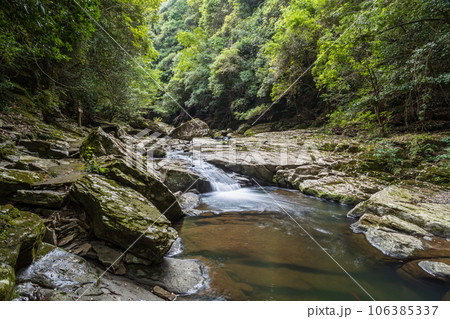 夏の千綿渓谷 106385337