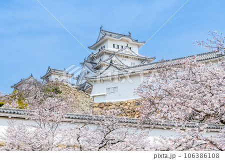 兵庫県姫路市 桜に彩られた春の国宝姫路城天守【4月】 兵庫県姫路市 桜に彩られた春の国宝姫路城天守【4月】 106386108