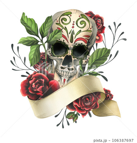 Human skull with hand drawn ornament with ribbon for text, red roses. Hand drawn watercolor illustration for Halloween, day of the dead, Dia de los muertos. Isolated composition on a white background. 106387697