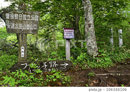 土湯峠　ブナッ子路 106388106