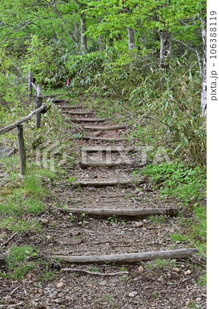 土湯峠　ブナッ子路 106388119