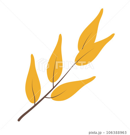 Vector drawing of branch with leaves isolated on white background. Illustration in flat style. Rustic, boho style. 106388963