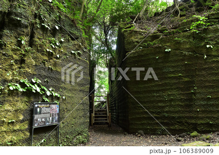 鋸山・切り通し跡 106389009