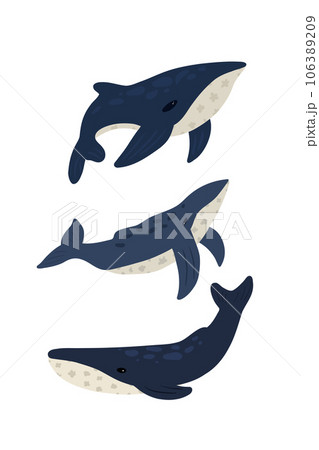 Set of hand drawn whales different shapes 106389209