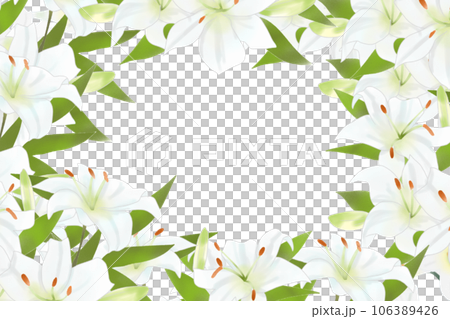 百合の花のカード4のイラスト素材 [106389426] - PIXTA