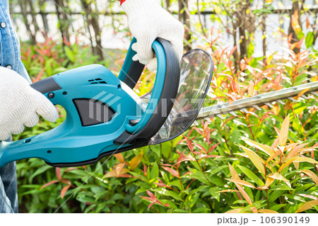 Woman taking care and growing plants, Hobby planting home garden, ornamental pruning. 106390149