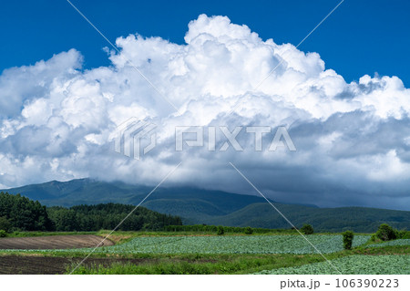 《群馬県》夏空の田園風景・嬬恋のキャベツ畑 106390223