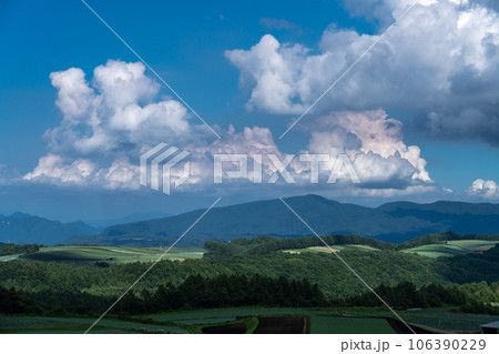 《群馬県》夏空の田園風景・嬬恋のキャベツ畑 106390229