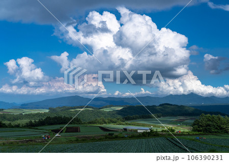 《群馬県》夏空の田園風景・嬬恋のキャベツ畑 106390231
