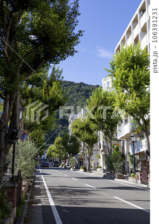 神戸北野異人館の街並み 神戸北野異人館の街並み 106391231