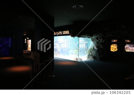 山口 下関 下関市立しものせき水族館 海響館 山口 下関 下関市立しものせき水族館 海響館 106392205