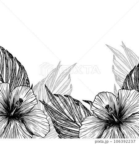 Vector illustration of tropical flowers and leaves. Clipart of hibiscus, palm leaf, ink template with no background. Isolated elements for the design of cards, packaging, tattoos, logos. 106392237