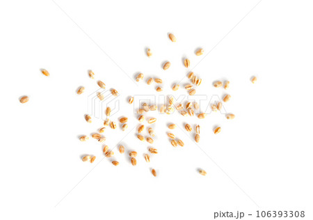 Wheat Grains, Barley Pile, Dry Cereal Seeds, Wheat Grains Heap on White 106393308