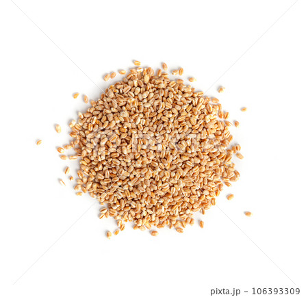 Wheat Grains, Barley Pile, Dry Cereal Seeds, Wheat Grains Heap on White 106393309
