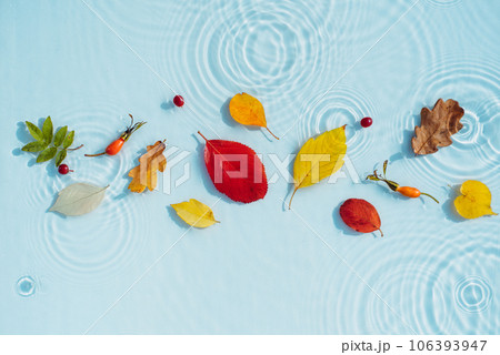 Autumn background, colored fallen leaves on background of water with waves 106393947