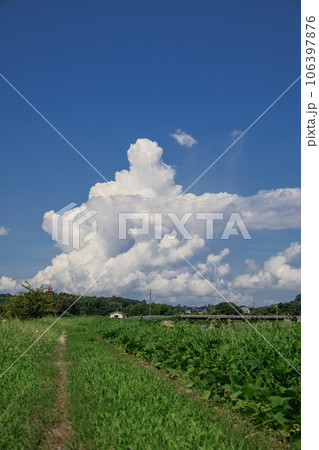 山向こうに立ちのぼる入道雲と草の生えた田舎道 山向こうに立ちのぼる入道雲と草の生えた田舎道 106397876