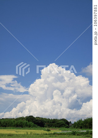 夏の田園風景 積乱雲と稲穂 夏の田園風景 積乱雲と稲穂 106397881