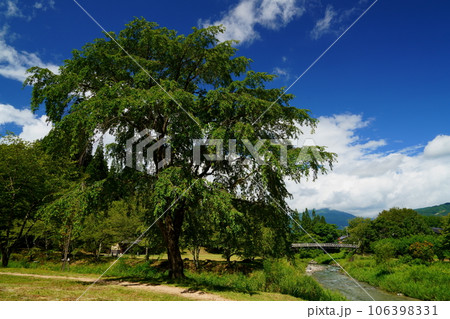 夏の始まり 106398331