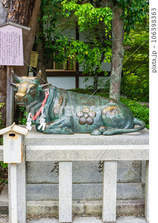 京都府長岡京市の長岡天満宮 神牛像 京都府長岡京市の長岡天満宮 神牛像 106398363