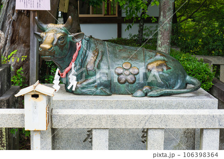 京都府長岡京市の長岡天満宮 神牛像の写真素材 [106398364] - PIXTA