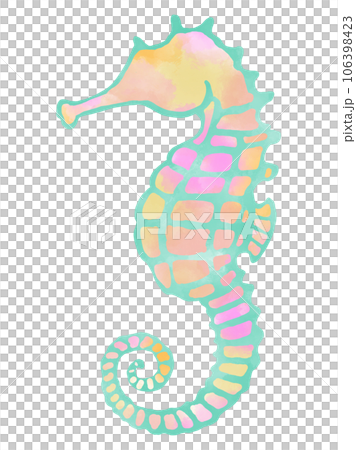 タツノオトシゴの水彩イラスト タツノオトシゴの水彩イラスト 106398423