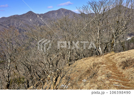 丹沢の鍋割山の道より望む西丹沢の山並 丹沢の鍋割山の道より望む西丹沢の山並 106398490