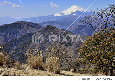 丹沢の鍋割山山頂より望む富士山と檜岳山稜 106398493
