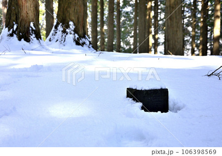 冬の丹沢 雪の栗ノ木洞山頂の森 三等三角点(栗之木道) 冬の丹沢 雪の栗ノ木洞山頂の森 三等三角点(栗之木道) 106398569