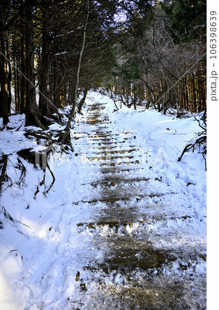 雪の尾根道　丹沢の大倉尾根 106398639