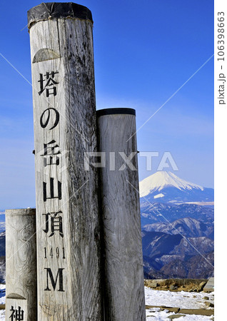 丹沢山地　塔ノ岳山頂より望む富士山 106398663