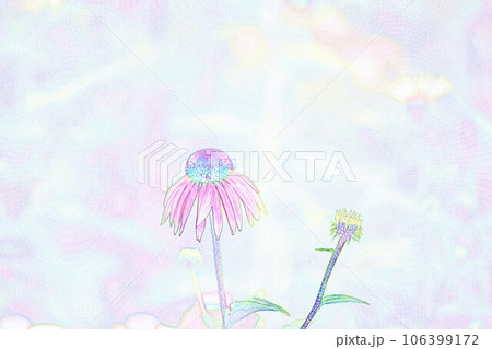 パステル調　”エキナセア”　イラストイメージ 106399172